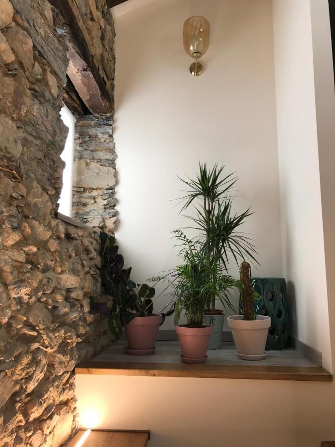 Studio Rural Vilarinho  Luaran gambar