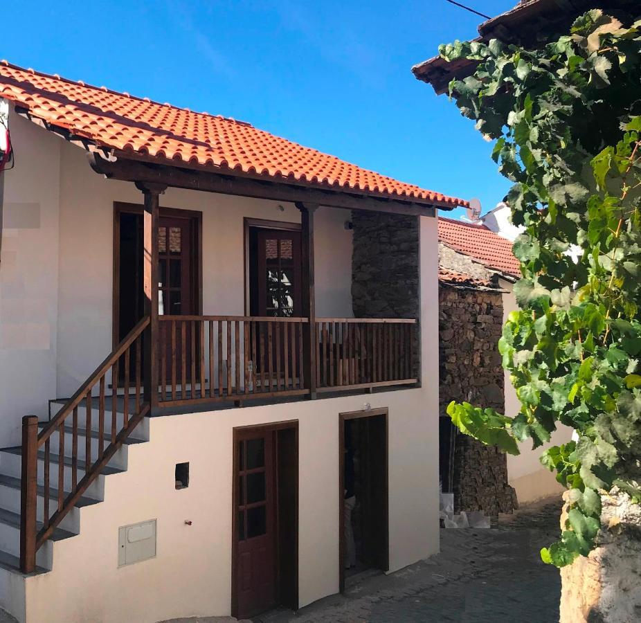 Studio Rural Vilarinho  Luaran gambar